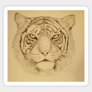 Panthera Tigris Sticker